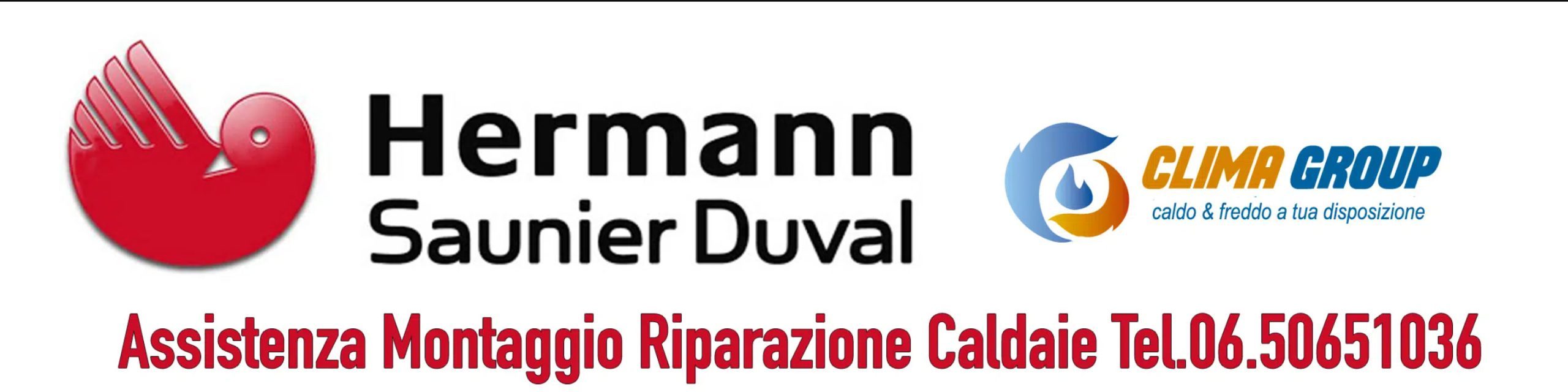 Assistenza caldaie Hermann Saunier Duval Roma